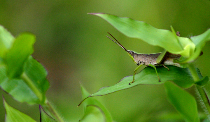 Fotografía por frenesi para DesignCrowd (Community Contests) | Diseño #9083997