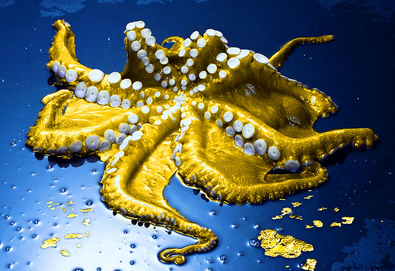 Photoshop Design by chris_ for DesignCrowd (Community Contests) | Design #9089303