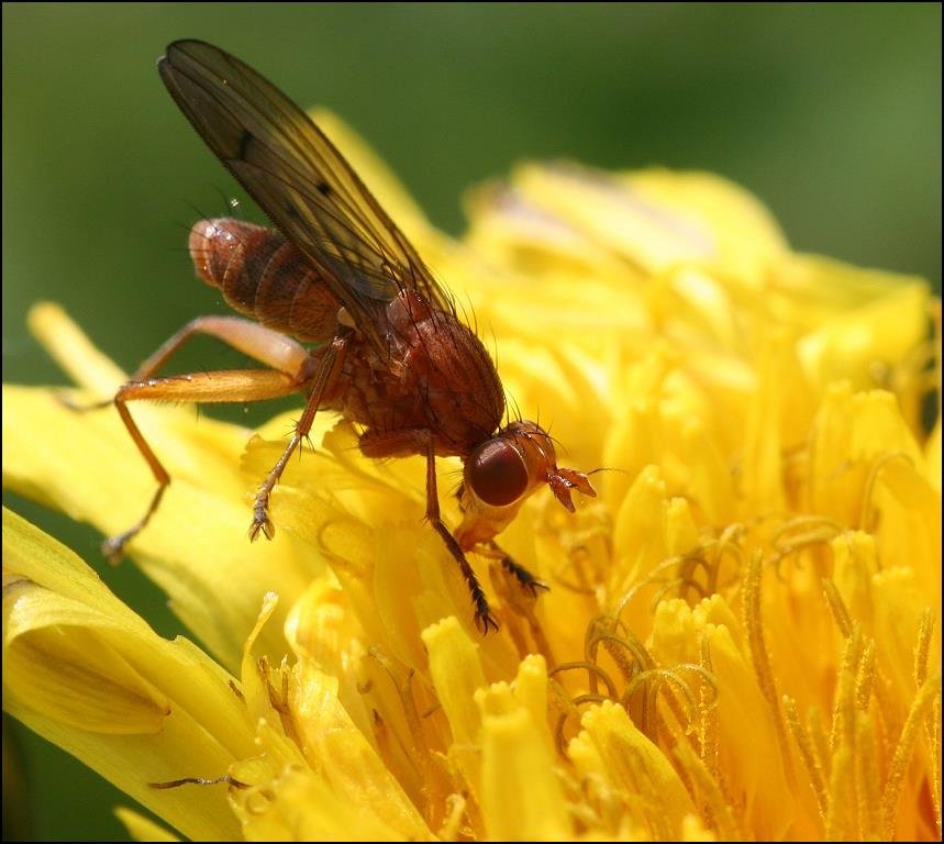 Photography by TyChO for DesignCrowd (Community Contests) | Design #9083516