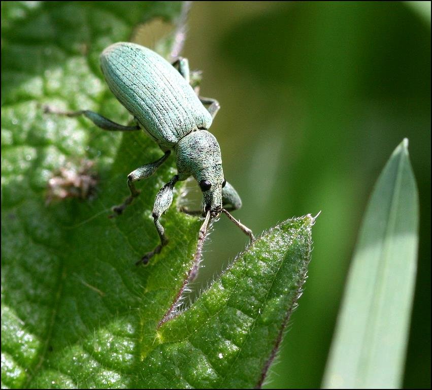 Photography by TyChO for DesignCrowd (Community Contests) | Design #9084031