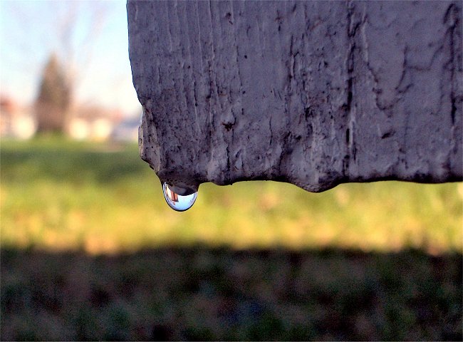 Photographie par razzberry pour DesignCrowd (Community Contests) | Design #9089171