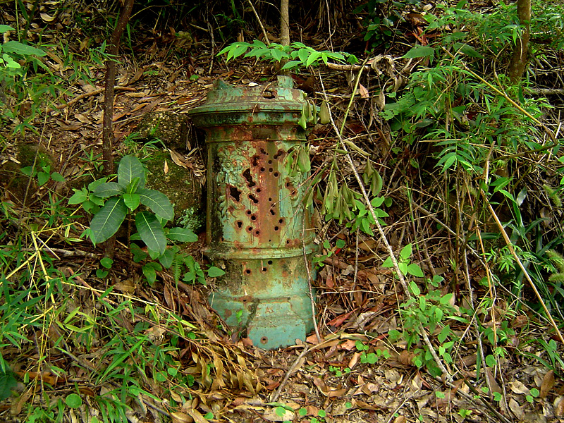 Fotografie von pedronurmi für DesignCrowd (Community Contests) | Design #9084069