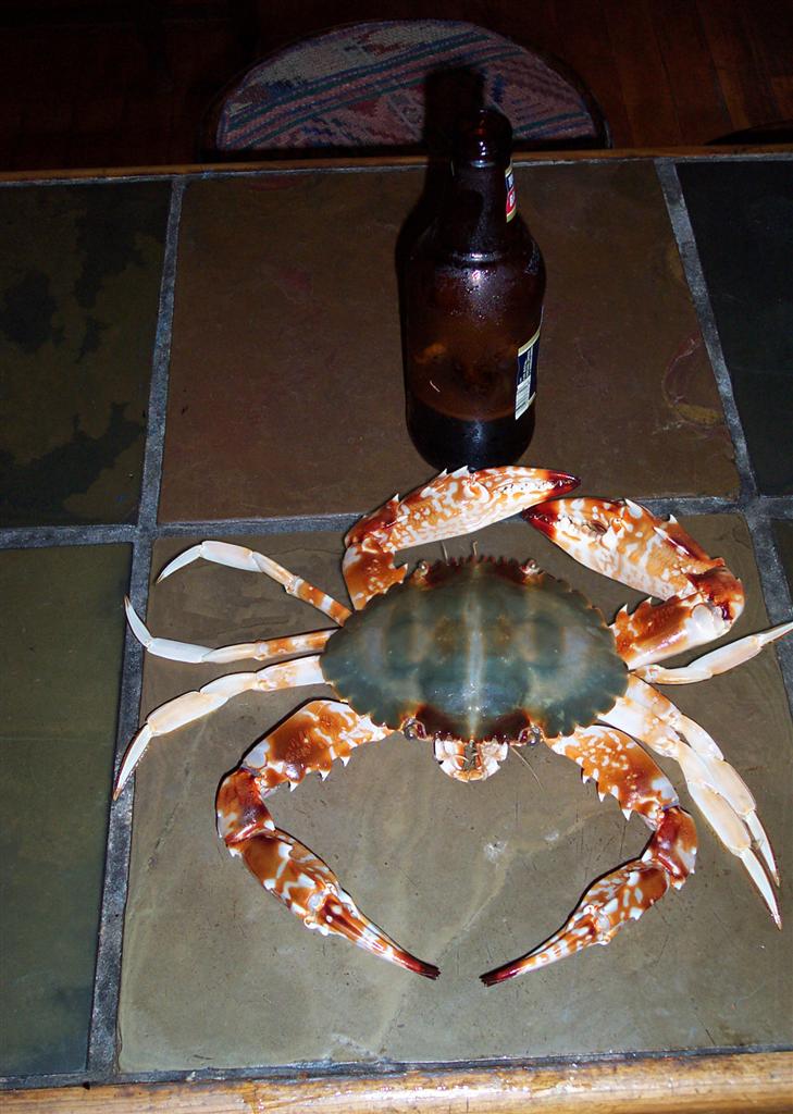 Photoshop Design by ozplasmic for DesignCrowd (Community Contests) | Design #9068333