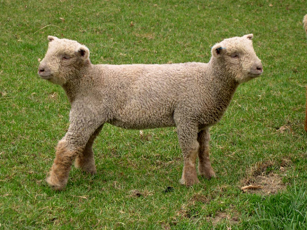 Photoshop Design by aakusu for DesignCrowd (Community Contests) | Design #9068367