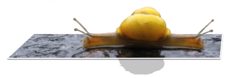 Photoshop Design by Assja for DesignCrowd (Community Contests) | Design #9068351