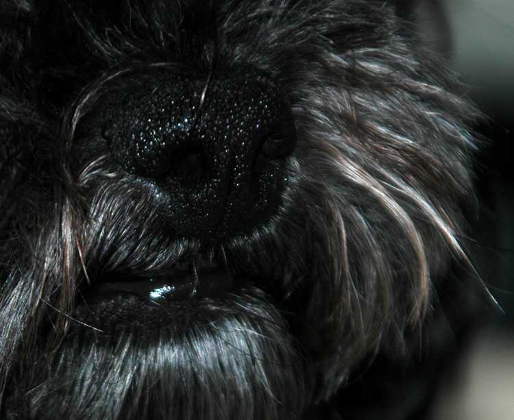 Photographie par jachang pour DesignCrowd (Community Contests) | Design #9083599