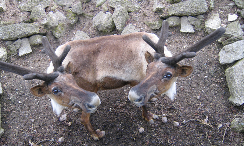 Photoshop Design by MaSami for DesignCrowd (Community Contests) | Design #9068365