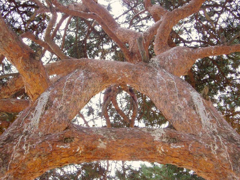 Photoshop-Design von Dappers für DesignCrowd (Community Contests) | Design #9068403