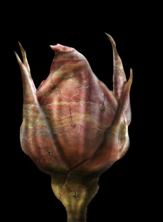 Diseño de Photoshop por Terrence para DesignCrowd (Community Contests) | Diseño #9089348