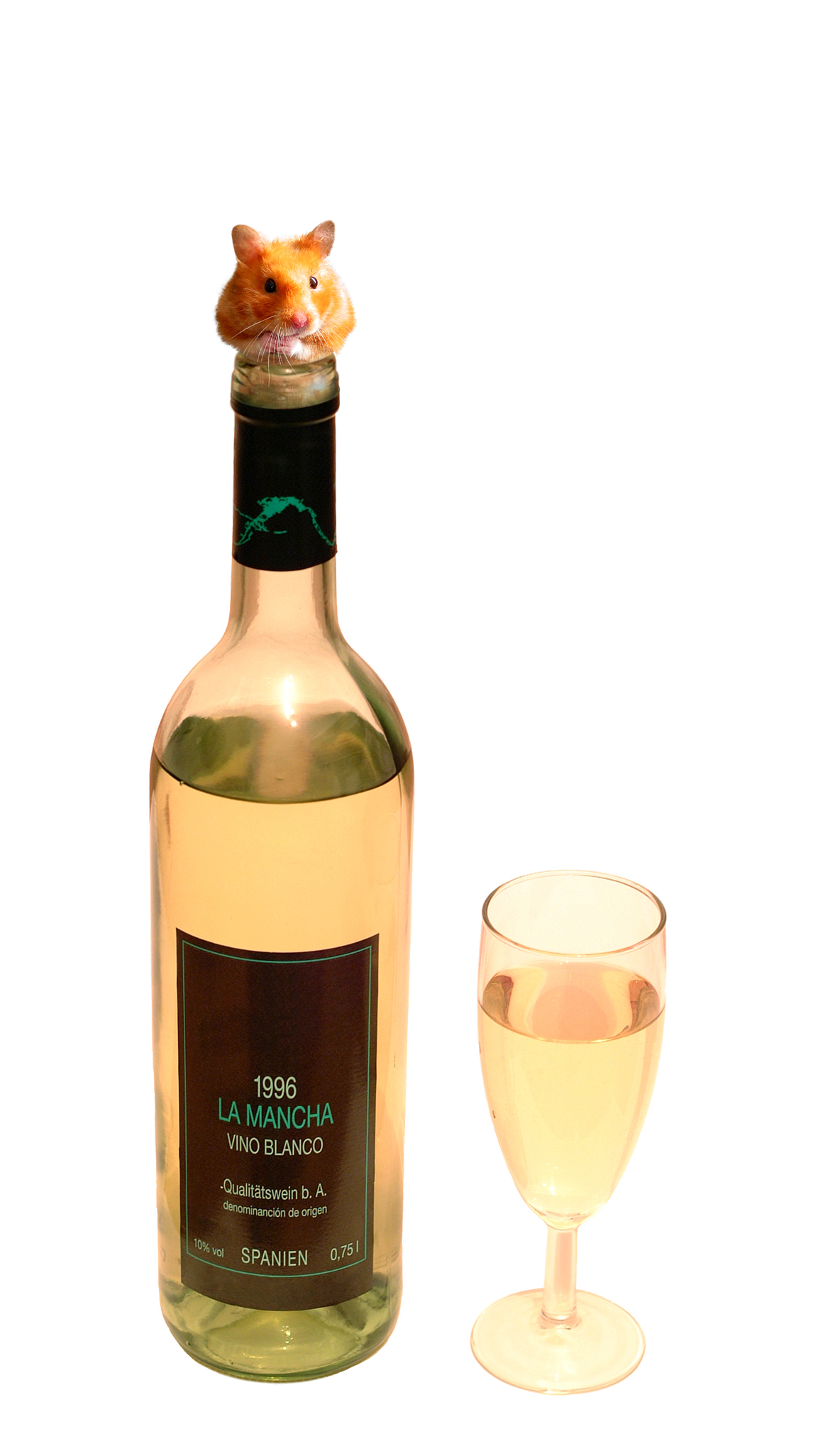 Photoshop Design by a17rwk for DesignCrowd (Community Contests) | Design #9089555