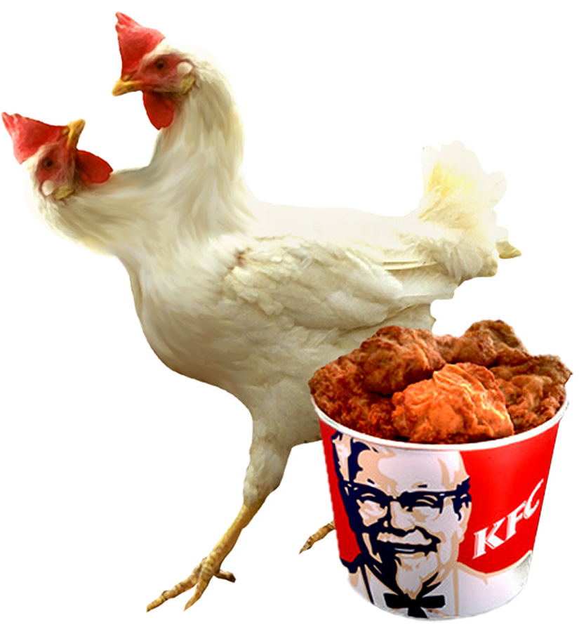 Photoshop Design by PaulC44446 for DesignCrowd (Community Contests) | Design #9068448