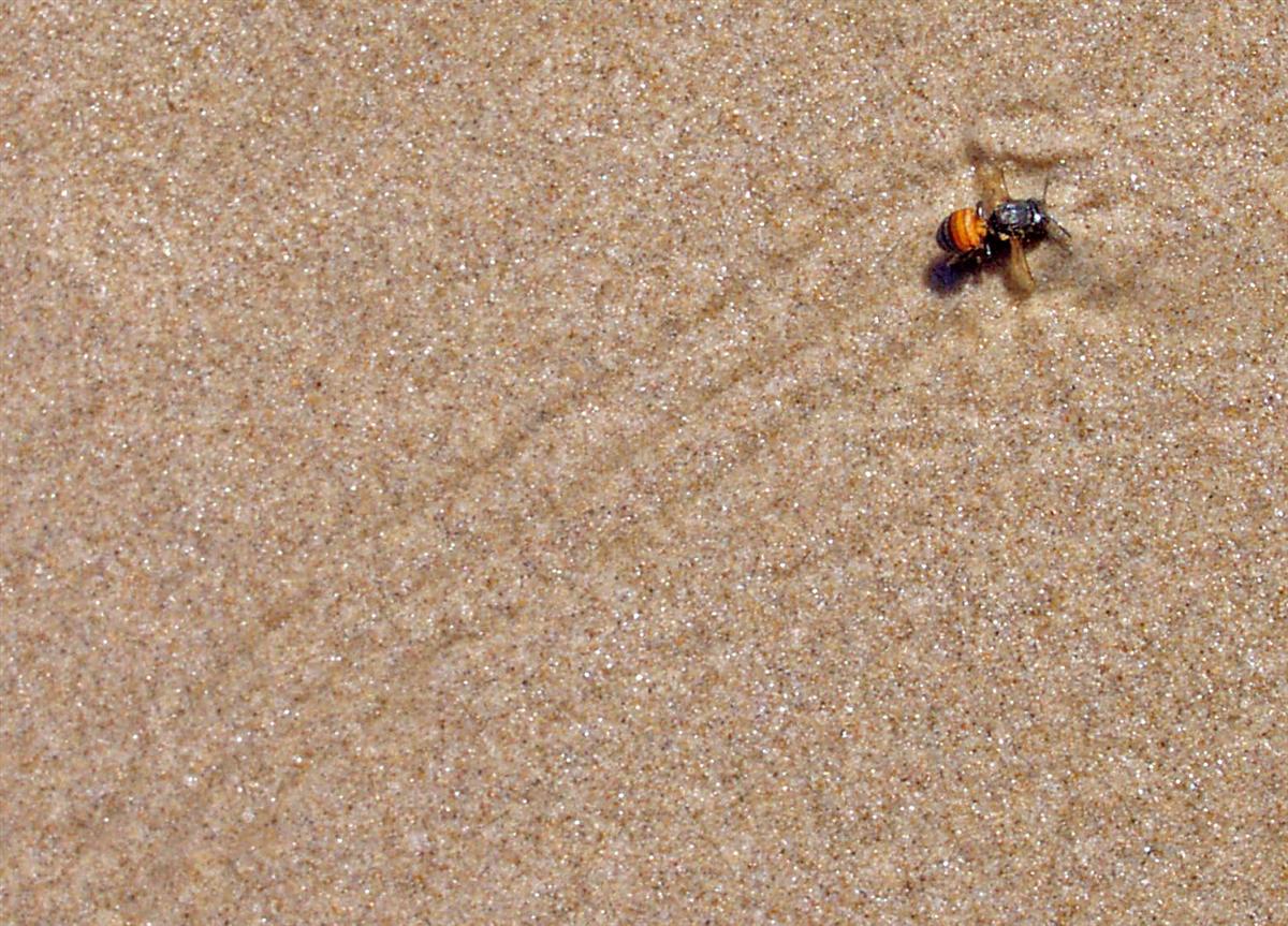 Photography by ozplasmic for DesignCrowd (Community Contests) | Design #9089242