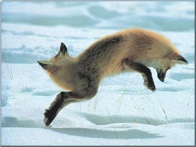 Photoshop Design by chimneysweep for DesignCrowd (Community Contests) | Design #9068428