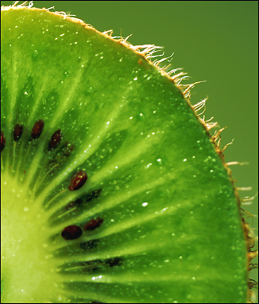 Fotografía por Marian para DesignCrowd (Community Contests) | Diseño #9084053