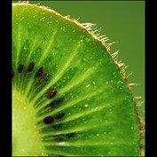 Photography by Marian