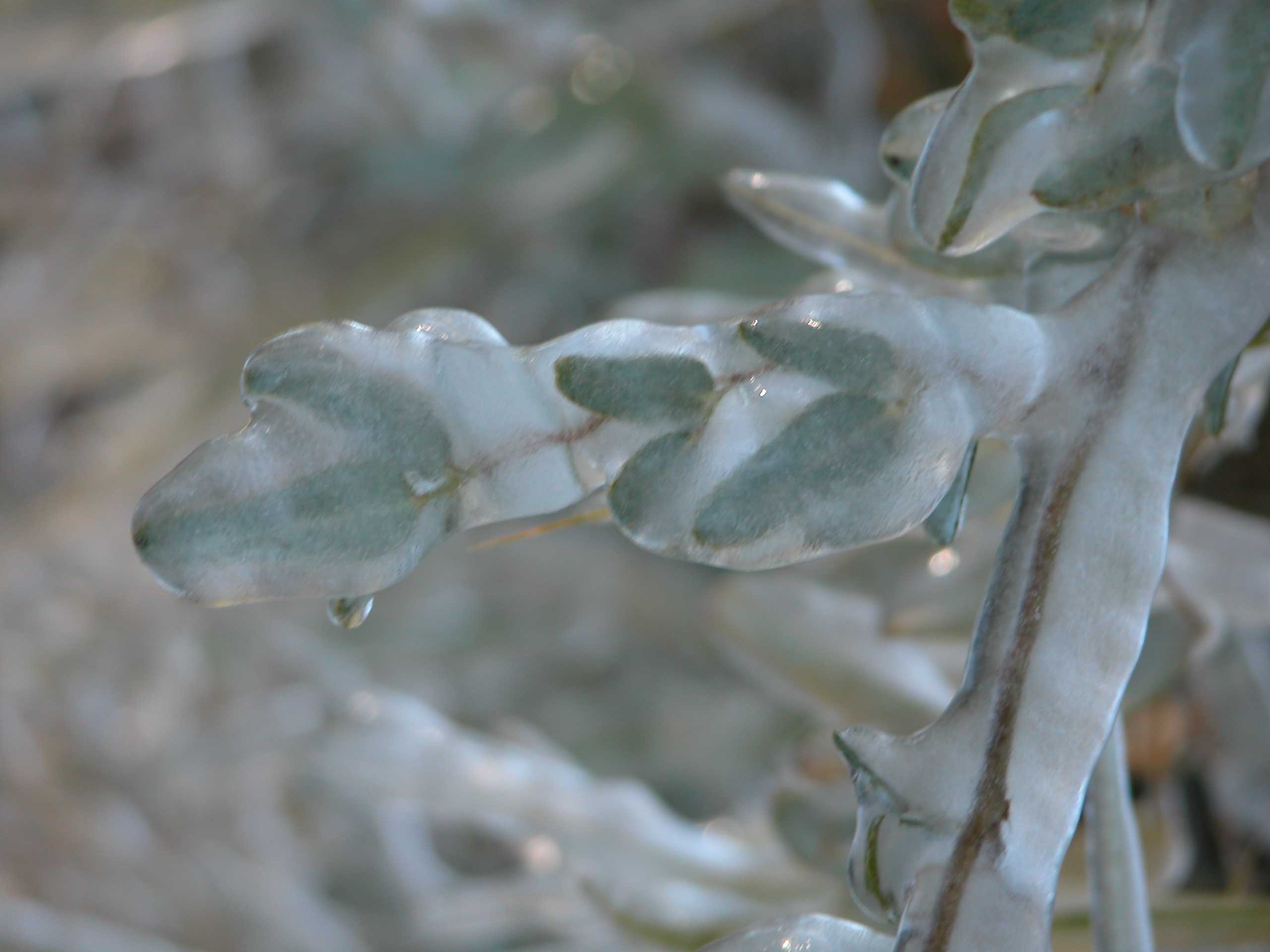 Photography by christelgrie for DesignCrowd (Community Contests) | Design #9083553