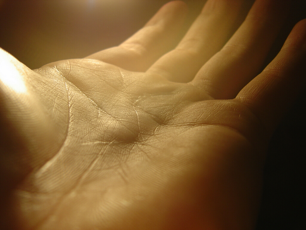 Photography by christiaanbroere for DesignCrowd (Community Contests) | Design #9083580