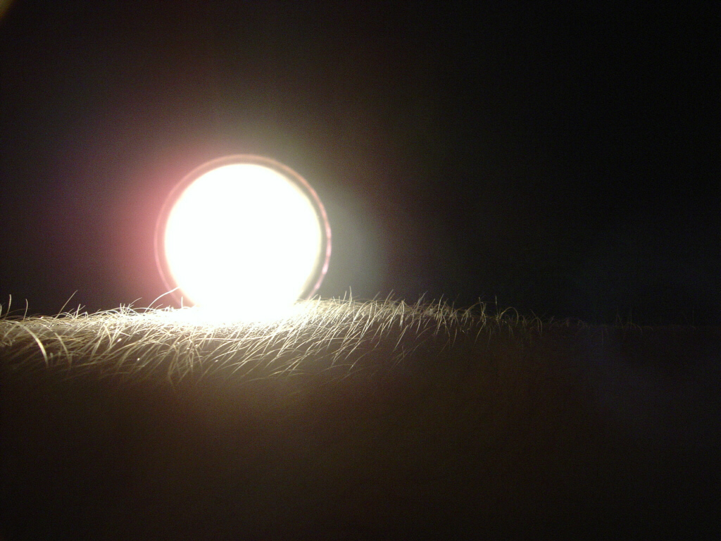 Fotografía por christiaanbroere para DesignCrowd (Community Contests) | Diseño #9089274