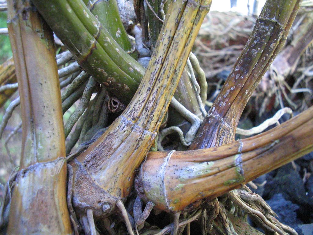 Photographie par silverlining pour DesignCrowd (Community Contests) | Design #9083596