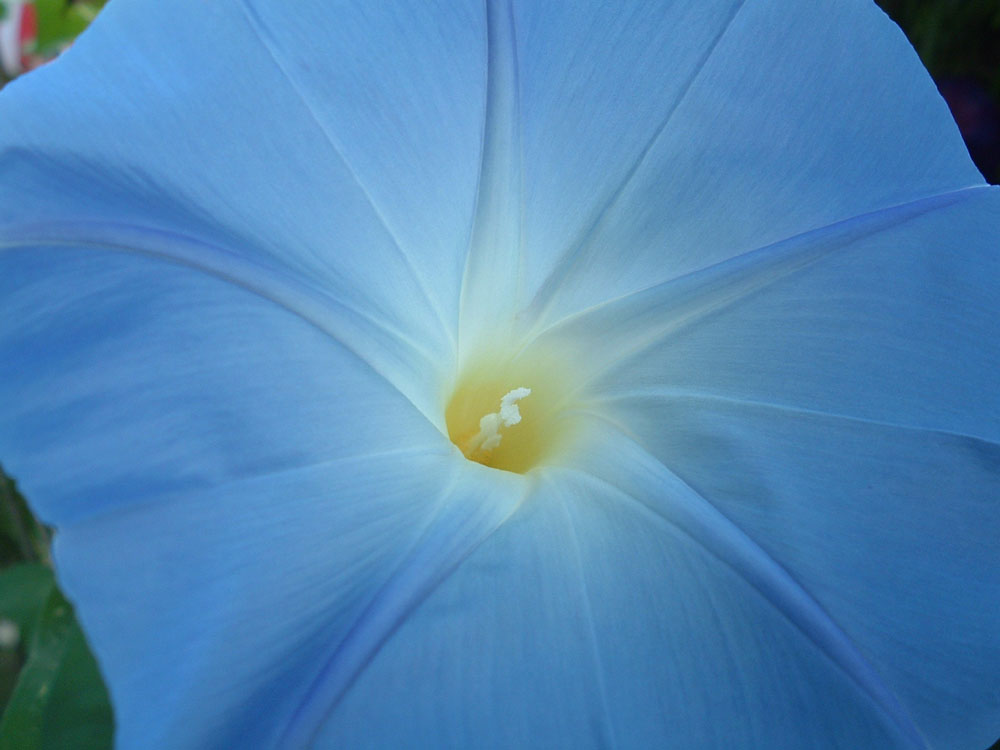 Fotografie von RickF413 für DesignCrowd (Community Contests) | Design #9083645