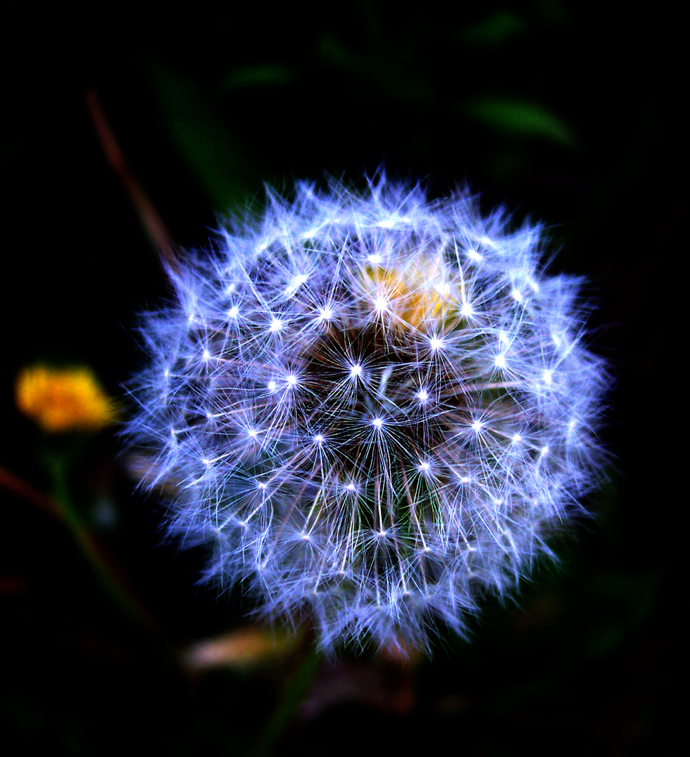 Photography by 1STLITE for DesignCrowd (Community Contests) | Design #9083632
