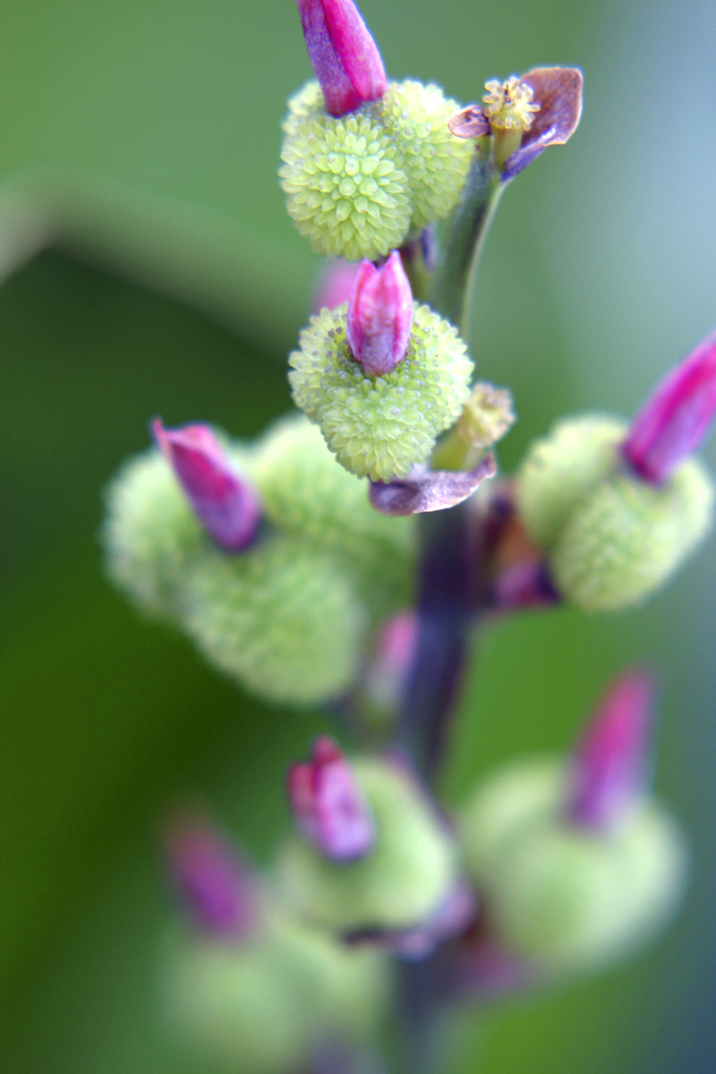 Photography by advance2 for DesignCrowd (Community Contests) | Design #9084075