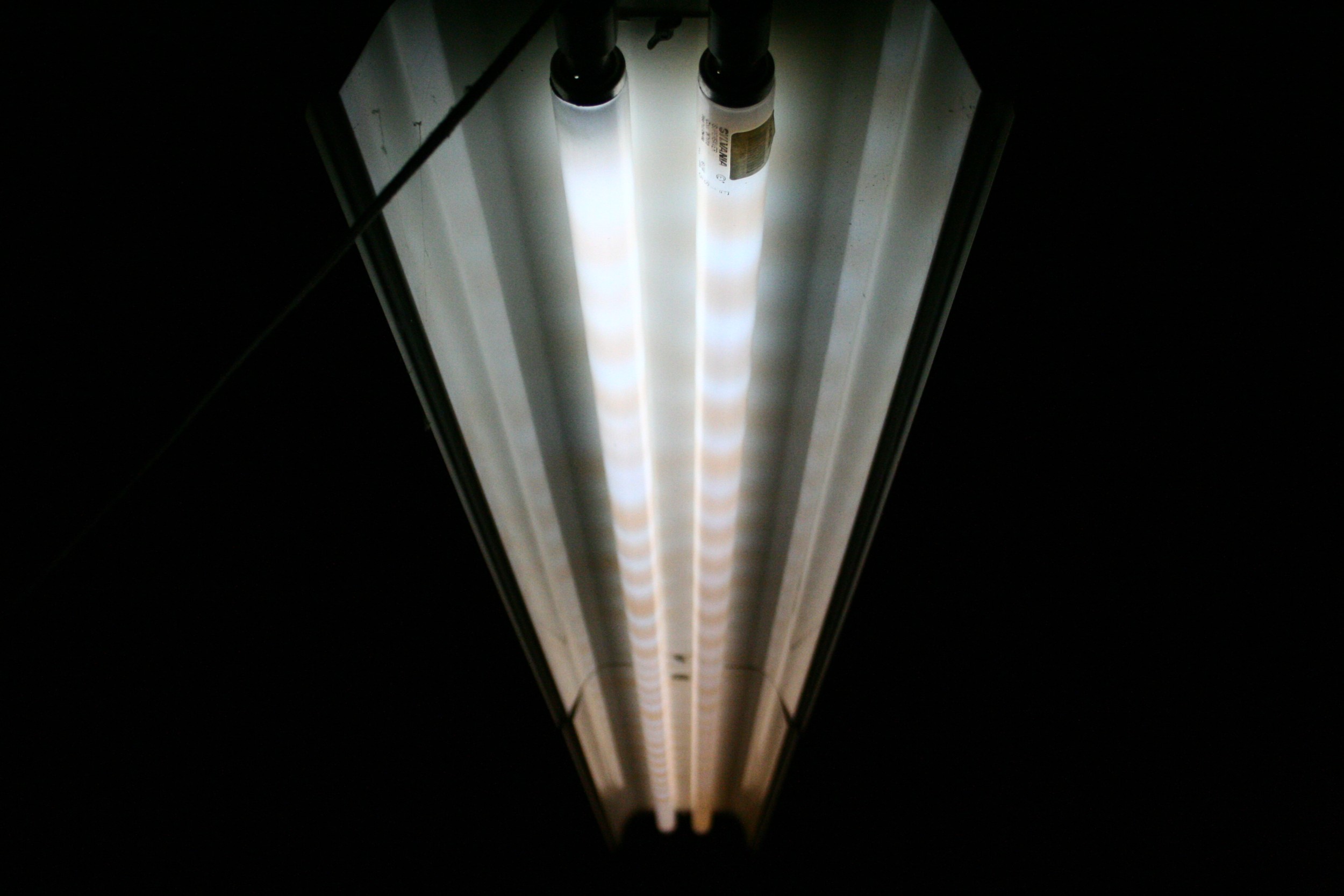 Photography by ozzy11340 for DesignCrowd (Community Contests) | Design #9089272