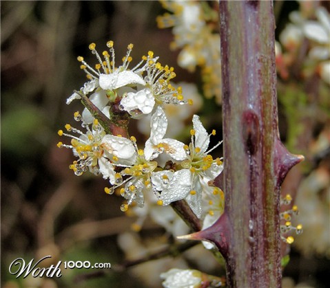 Photography by bobblainey