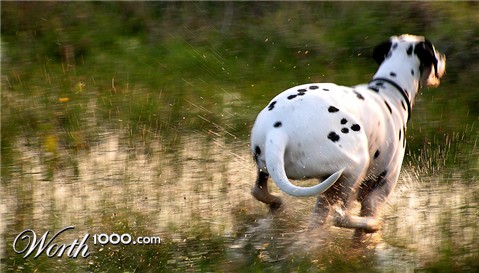 Photoshop Design by Aurorae