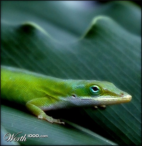 Photography by koalachimbo