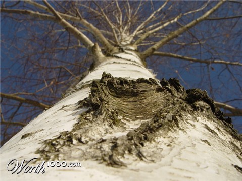 Photography by klemmg