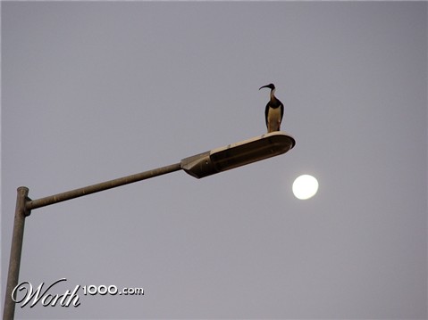 Photography by klemmg