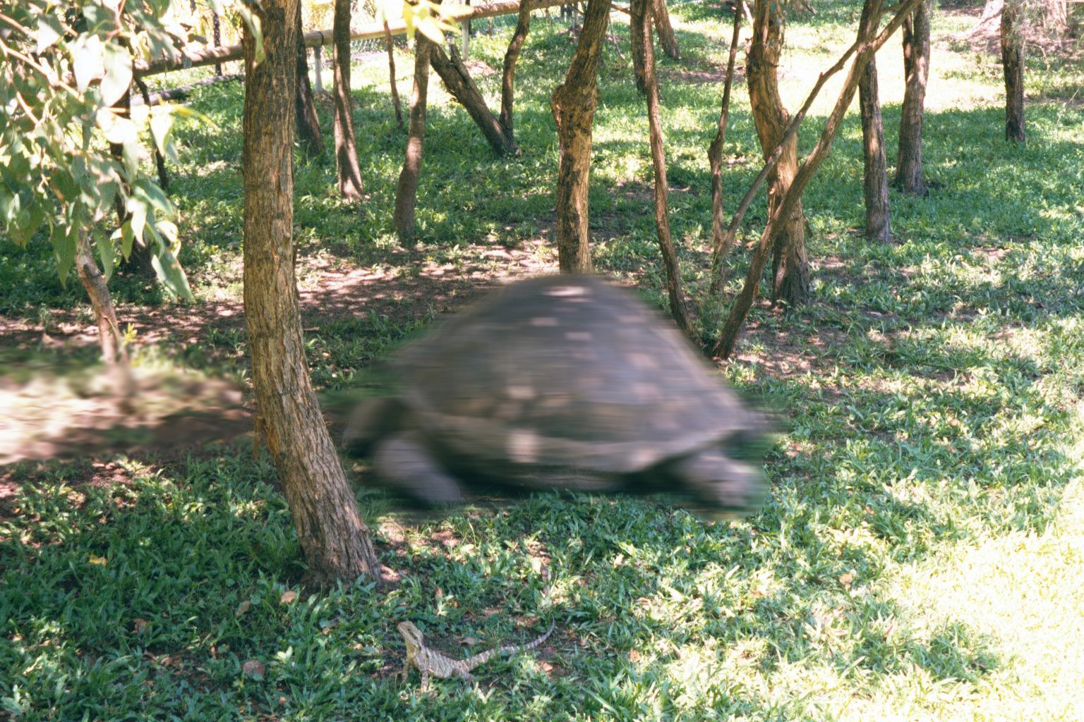 Photoshop Design by diversi0n for DesignCrowd (Community Contests) | Design #9080287