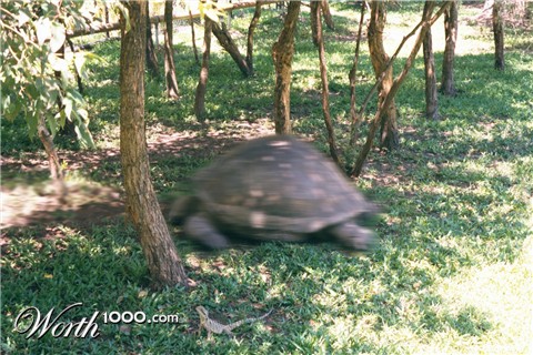 Photoshop Design by diversi0n