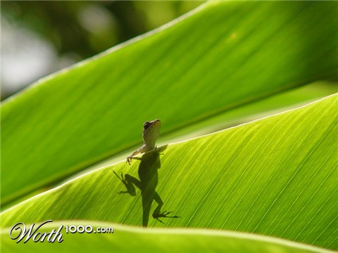Photography by klemmg