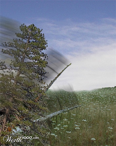 Photoshop Design by donzee