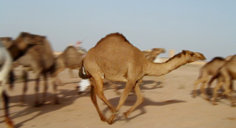 Photoshop Design by strown for DesignCrowd (Community Contests) | Design #9080259