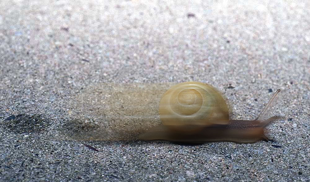 Photoshop Design by godzillatemple for DesignCrowd (Community Contests) | Design #9080231