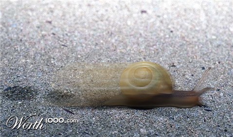 Photoshop Design by godzillatemple