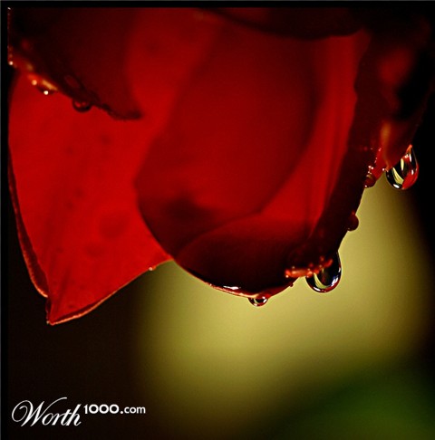 Photography by sfera01