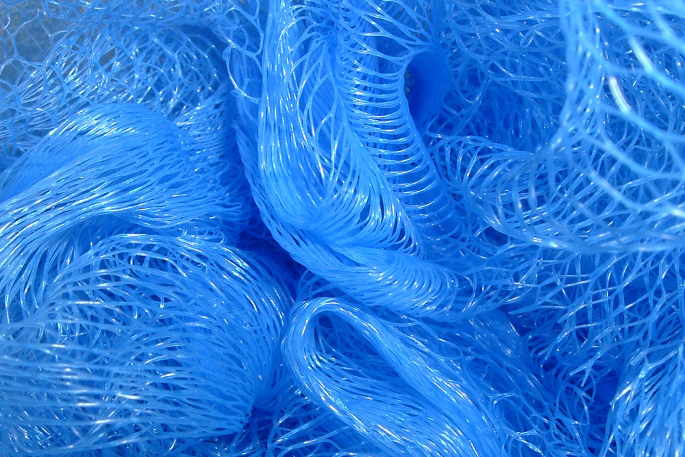 Photography by RickF413 for DesignCrowd (Community Contests) | Design #9087607