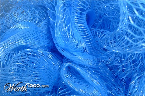 Photography by RickF413