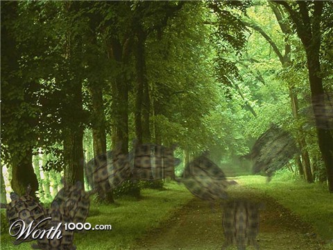 Photoshop Design by azarakhsh