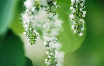 Photography by padoopie for DesignCrowd (Community Contests) | Design #9084155