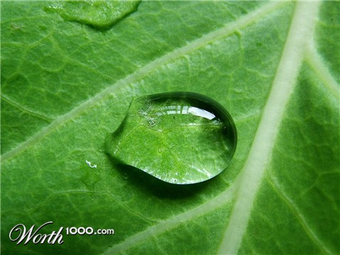 Photography by ADROALDO