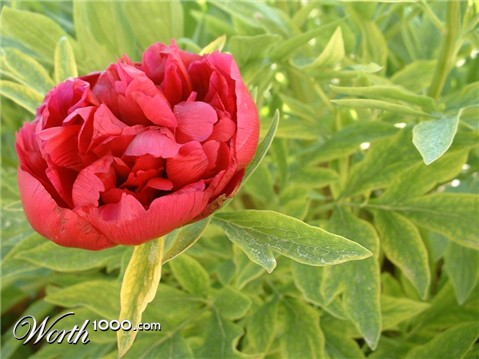 Photography by CarlesReig