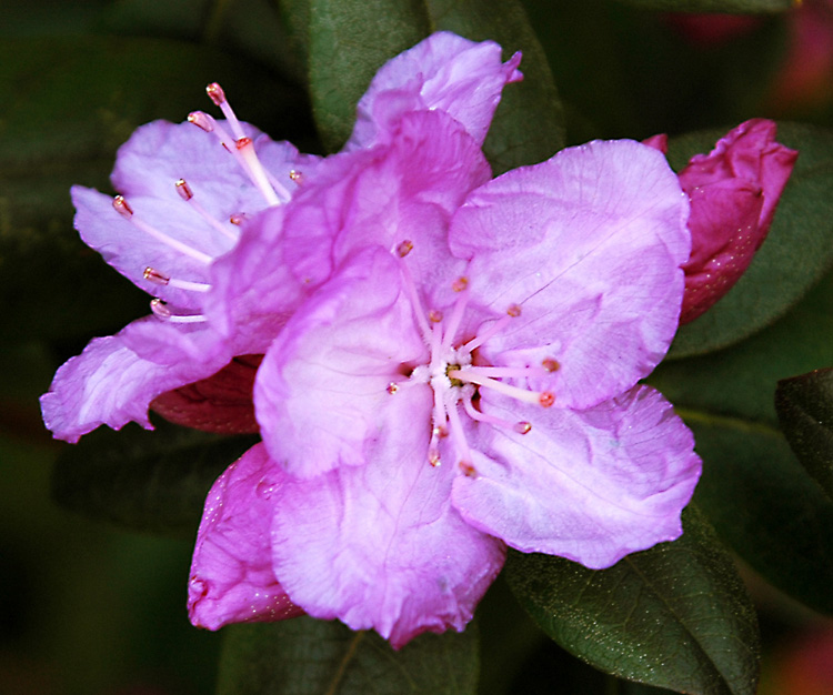 Photographie par jachang pour DesignCrowd (Community Contests) | Design #9087655