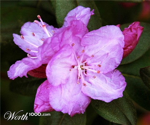 Photography by jachang