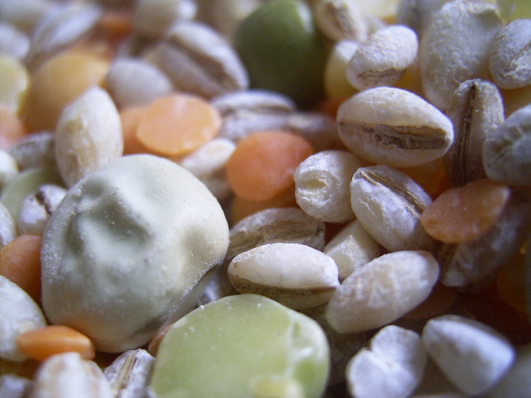 Photography by timboellis2031 for DesignCrowd (Community Contests) | Design #9087652