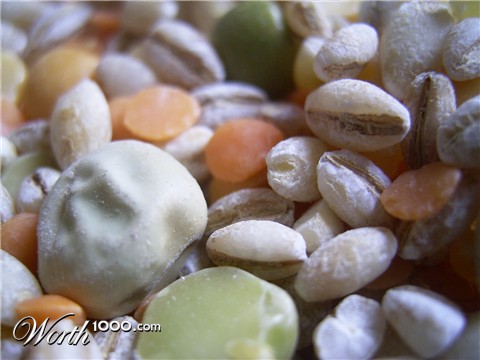 Photography by timboellis2031